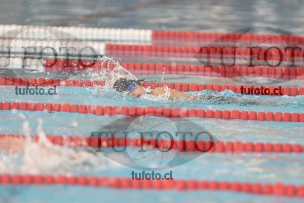 Image 1 libre V 00509