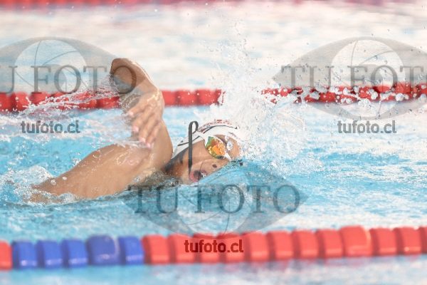 Image 1 libre V 00513