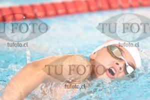 Image 1 libre V 00515
