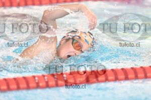 Image 1 libre V 00516