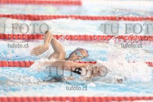 Image 1 libre V 00517