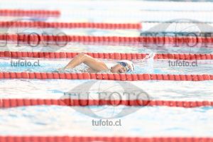 Image 1 libre V 00519