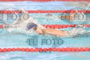 Image 1 libre V 00520