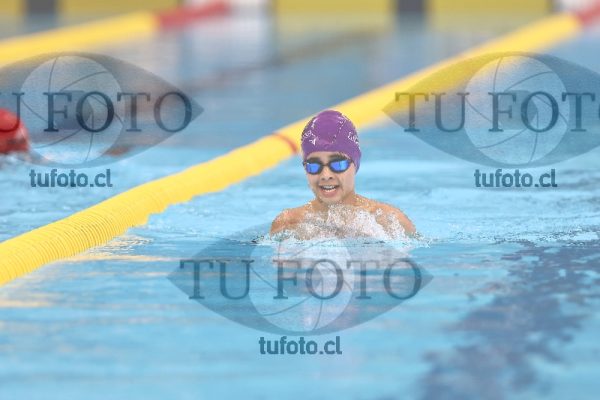 Image desarrollo 200 pecho varones 00061