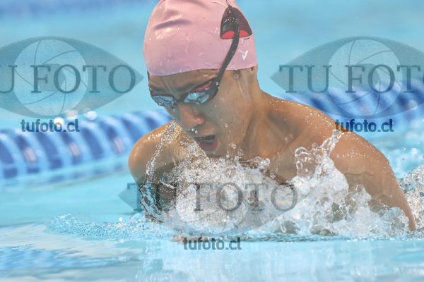 Image desarrollo 200 pecho varones 00089