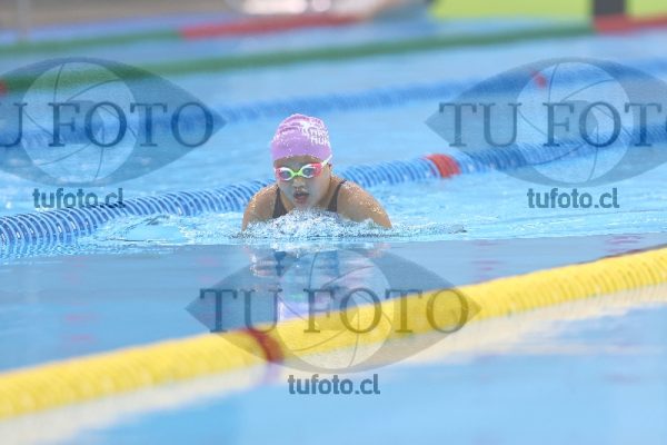Image Infantil 100 pecho damas 00022