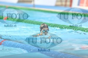 Image Infantil 100 pecho damas 00028