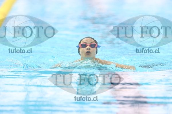 Image Infantil 100 pecho damas 00056