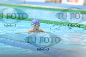 Image Infantil 100 pecho damas 00060