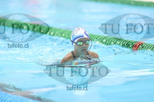 Image Infantil 100 pecho damas 00091