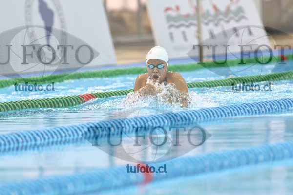 Image Infantil 100 pecho damas 00159