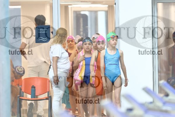 Image Infantil 100 libre damas 00067