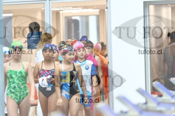 Image Infantil 100 libre damas 00115