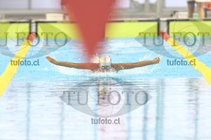 Image NC 400CB Damas 00080
