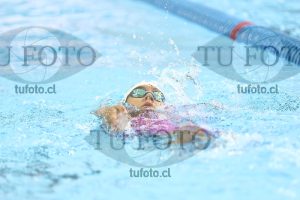 Image NC 400CB Damas 00095