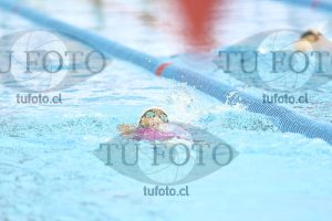 Image NC 400CB Damas 00098