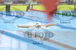 Image NC 400CB Damas 00128
