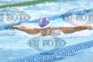 Image NC 400CB Damas 00132