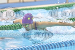 Image NC 400CB Damas 00133