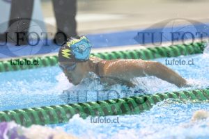 Image NC 400CB Damas 00134