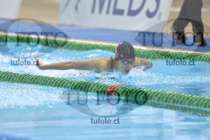 Image NC 400CB Damas 00175