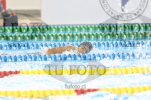 Image NC 800 L Varones 00016