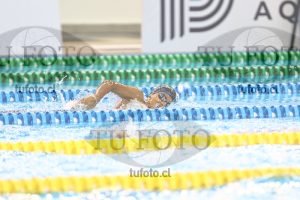 Image NC 800 L Varones 00017