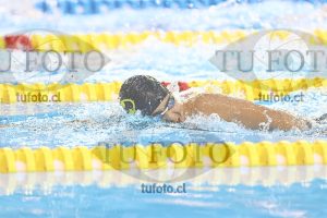 Image NC 800 L Varones 00018