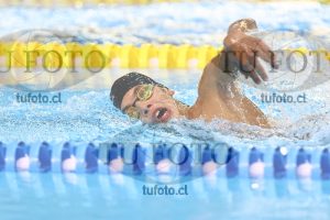 Image NC 800 L Varones 00019