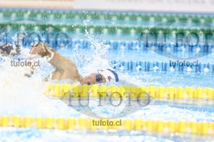 Image NC 800 L Varones 00024