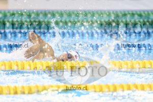 Image NC 800 L Varones 00025