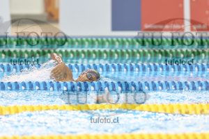Image NC 800 L Varones 00026