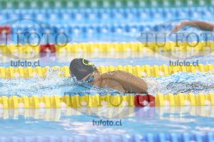 Image NC 800 L Varones 00027
