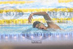 Image NC 800 L Varones 00028