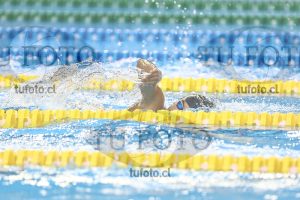 Image NC 800 L Varones 00030