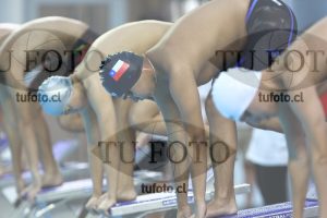 Image NC 800 L Varones 00062