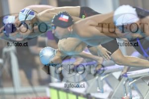 Image NC 800 L Varones 00064