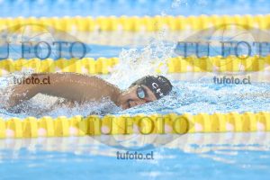 Image NC 800 L Varones 00072