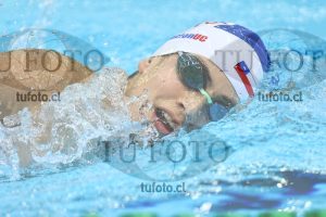 Image NC 800 L Varones 00073