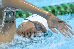 Image NC 800 L Varones 00078
