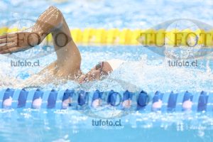 Image NC 800 L Varones 00079
