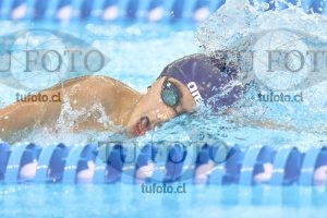 Image NC 800 L Varones 00081