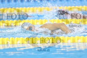 Image NC 800 L Varones 00085