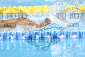 Image NC 800 L Varones 00090