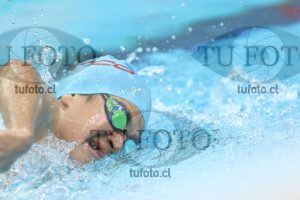Image NC 800 L Varones 00094