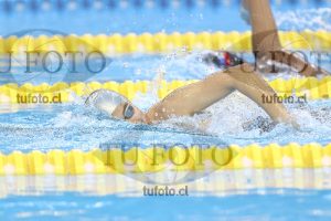 Image NC 800 L Varones 00095