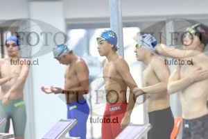 Image NC 800 L Varones 00106