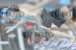 Image NC 800 L Varones 00122