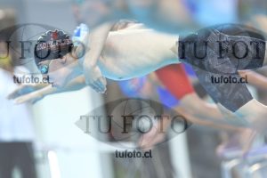Image NC 800 L Varones 00123