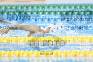 Image NC 800 L Varones 00125